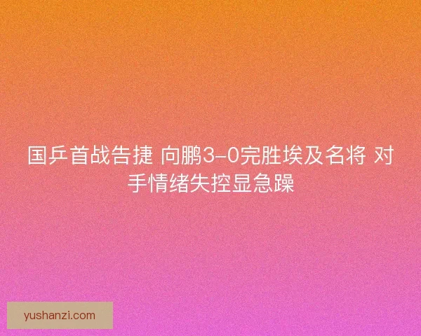 国乒首战告捷 向鹏3-0完胜埃及名将 对手情绪失控显急躁